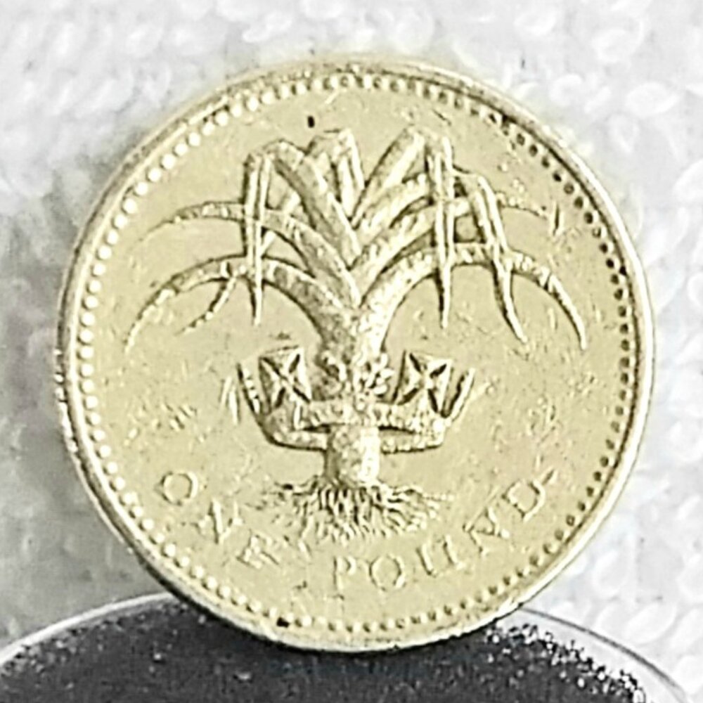 Circulated 1990 British One pound Welsh Leek Coin Made of Nickel/Brass!!